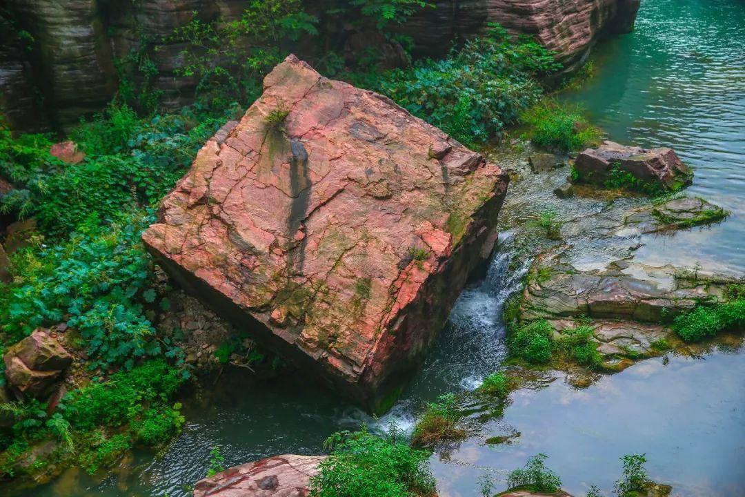 去山东旅游带些什么特产回来?